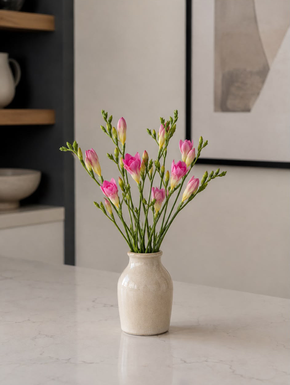 Freesia (Pink)