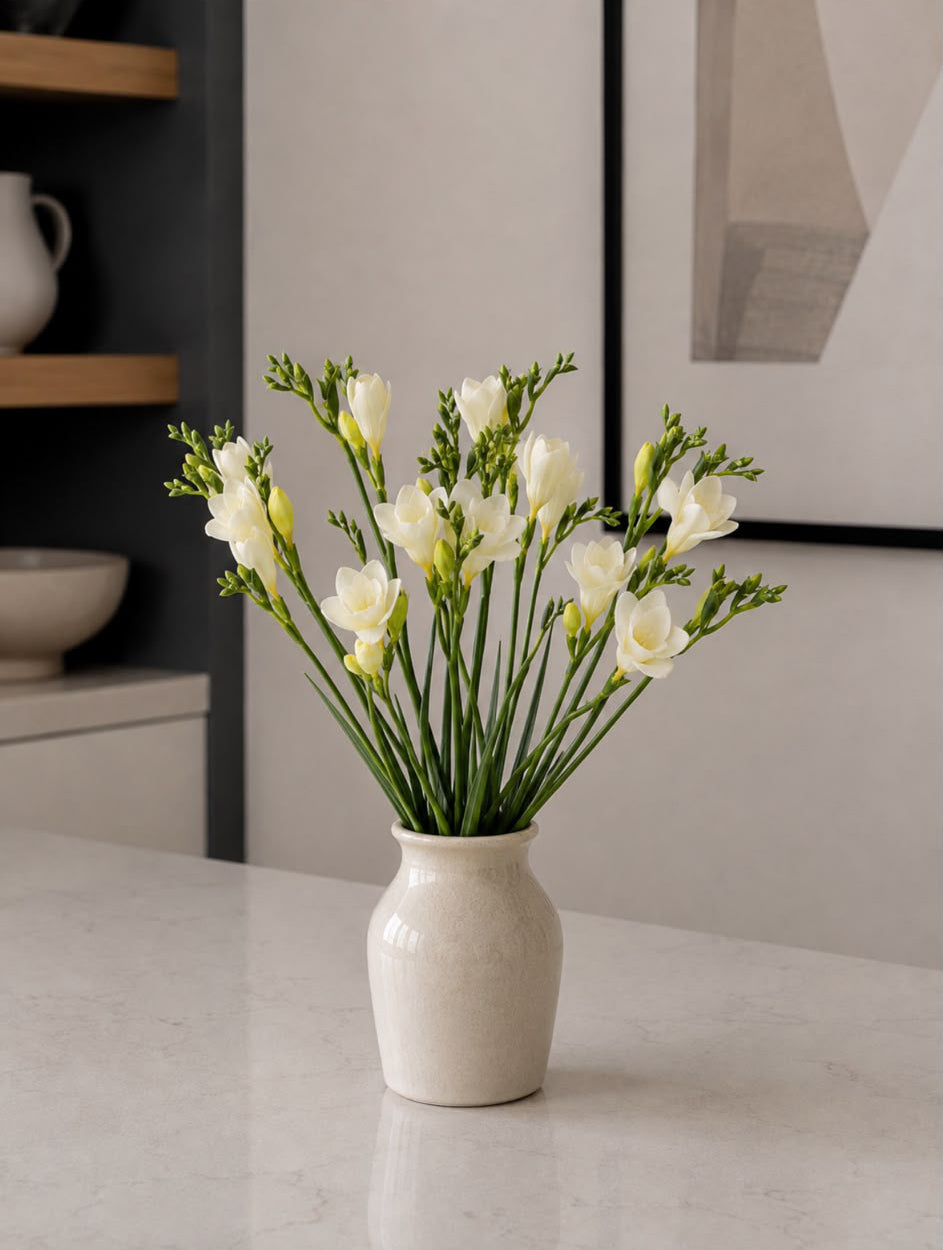 Freesia (White)