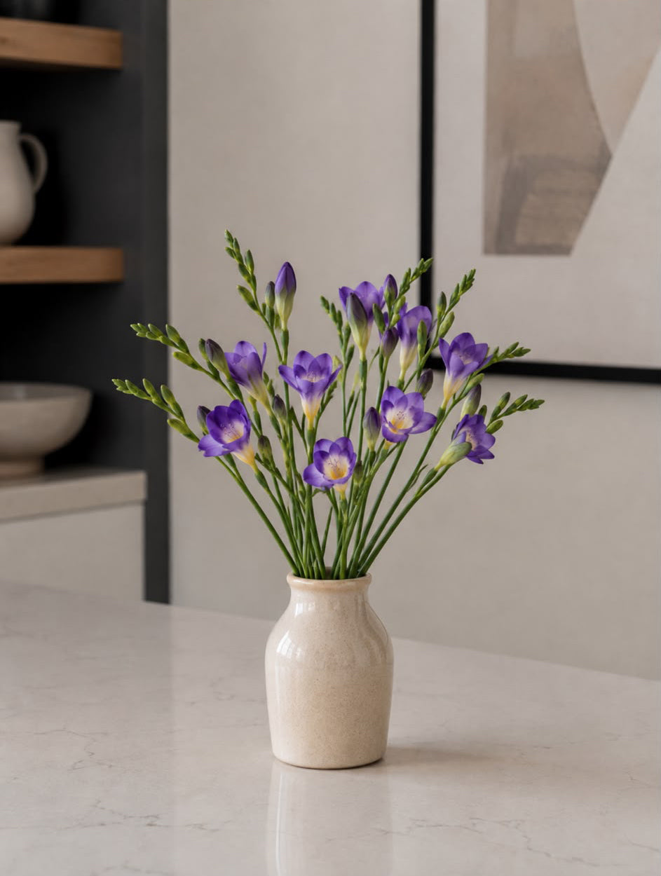 Freesia (Purple)