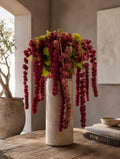 Amaranthus (Burgundy)