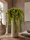 Amaranthus (Green)