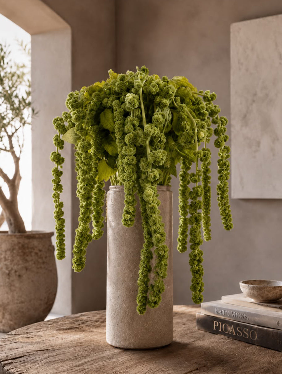 Amaranthus (Green)