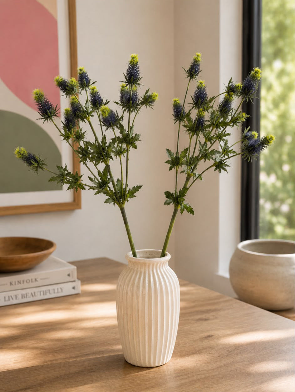 Eryngium
