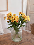 Chrysanthemum (Yellow)