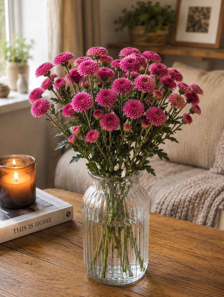 Chrysanthemum (Purple)