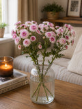 Chrysanthemum (Pink/White)