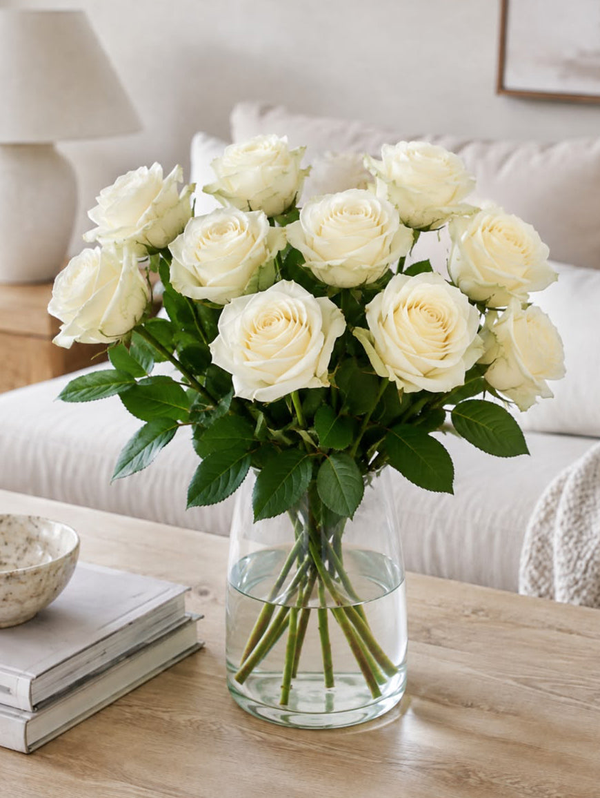 White Avalanche Rose
