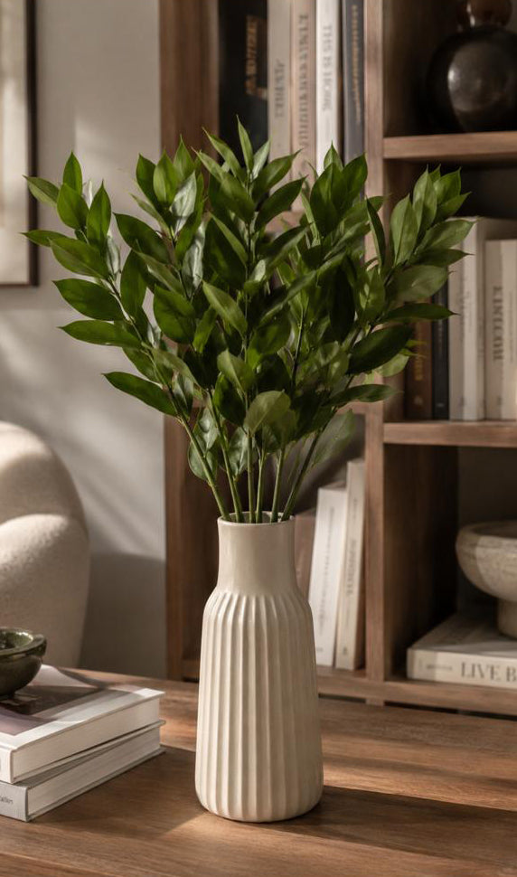 Hard ruscus
