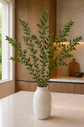 Soft ruscus