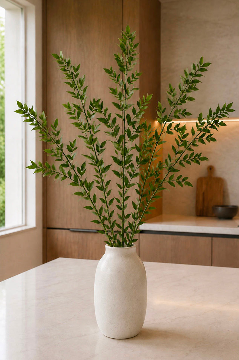 Soft ruscus
