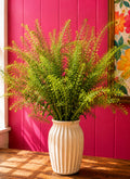 Thlaspi