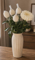 Chrysanthemum blooms (White)