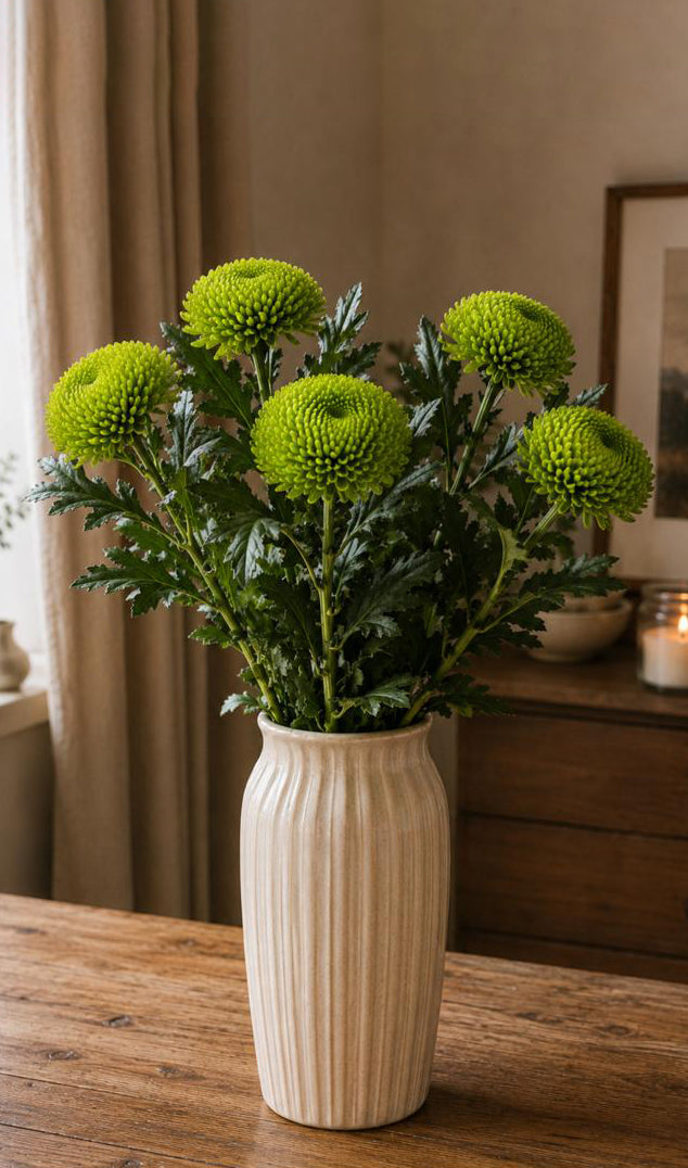 Chrysanthemum blooms (Green)