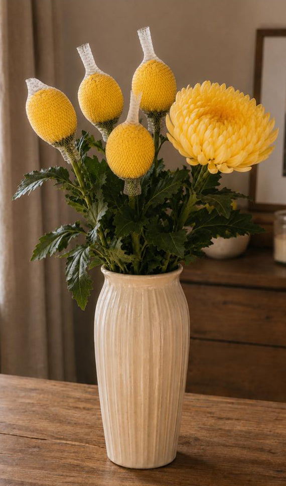 Chrysanthemum blooms (Yellow)
