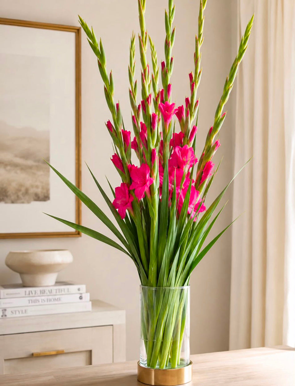 Gladioli (Pink)
