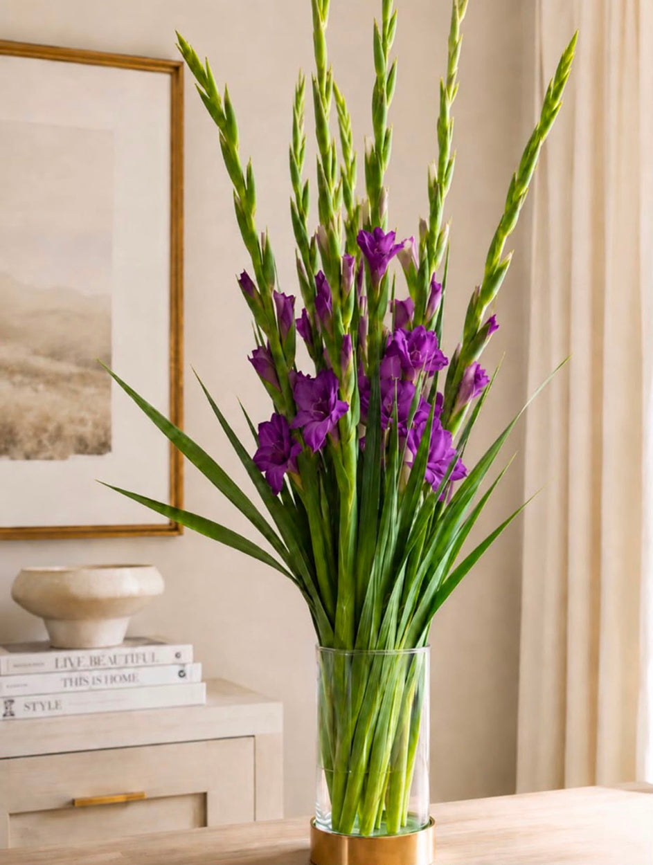 Gladioli (Purple)