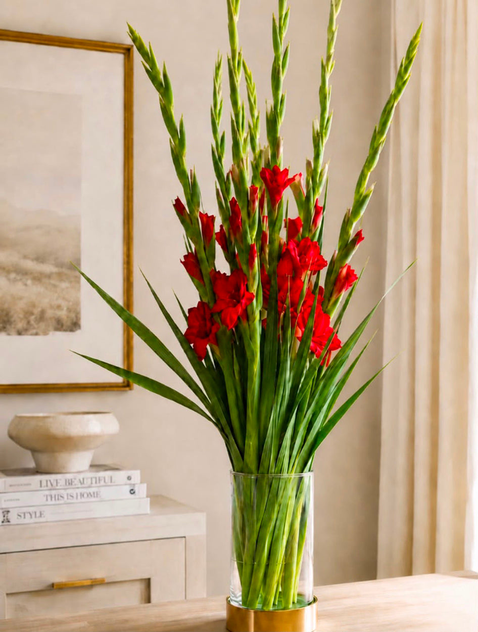 Gladioli (Red)