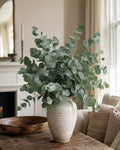 Eucalyptus Cinerea