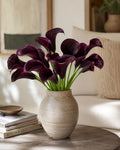 Calla Lily (Purple)