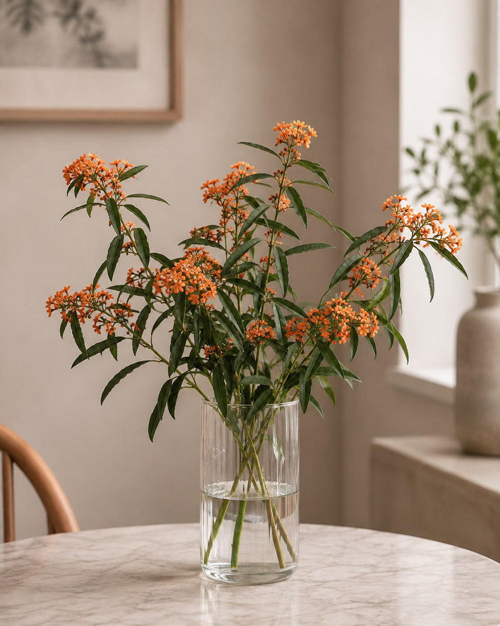 Euphorbia (Orange)