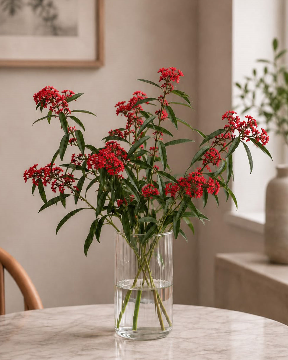 Euphorbia (Red)