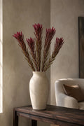 Leucadendron