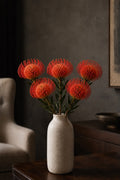 Pincushion protea (Red)