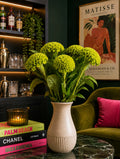 Celosia (Green)