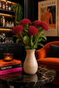 Celosia (Red)