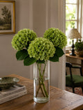 Hydrangea (Green/White)