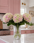 Hydrangea (Green/Pink)