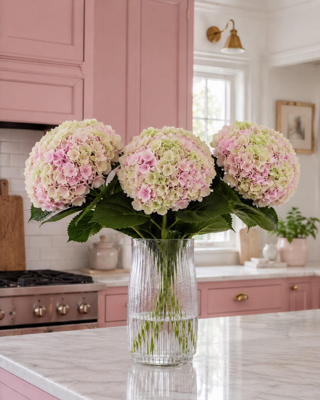 Hydrangea (Green/Pink)