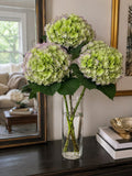 Hydrangea (Green with purple edge)