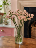 Statice (Pink)