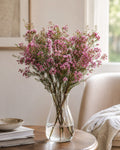 Waxflower (Pink)