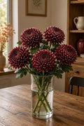 Bigodi Chrysanthemum (Burgundy)
