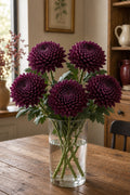 Bigodi Chrysanthemum (Purple)
