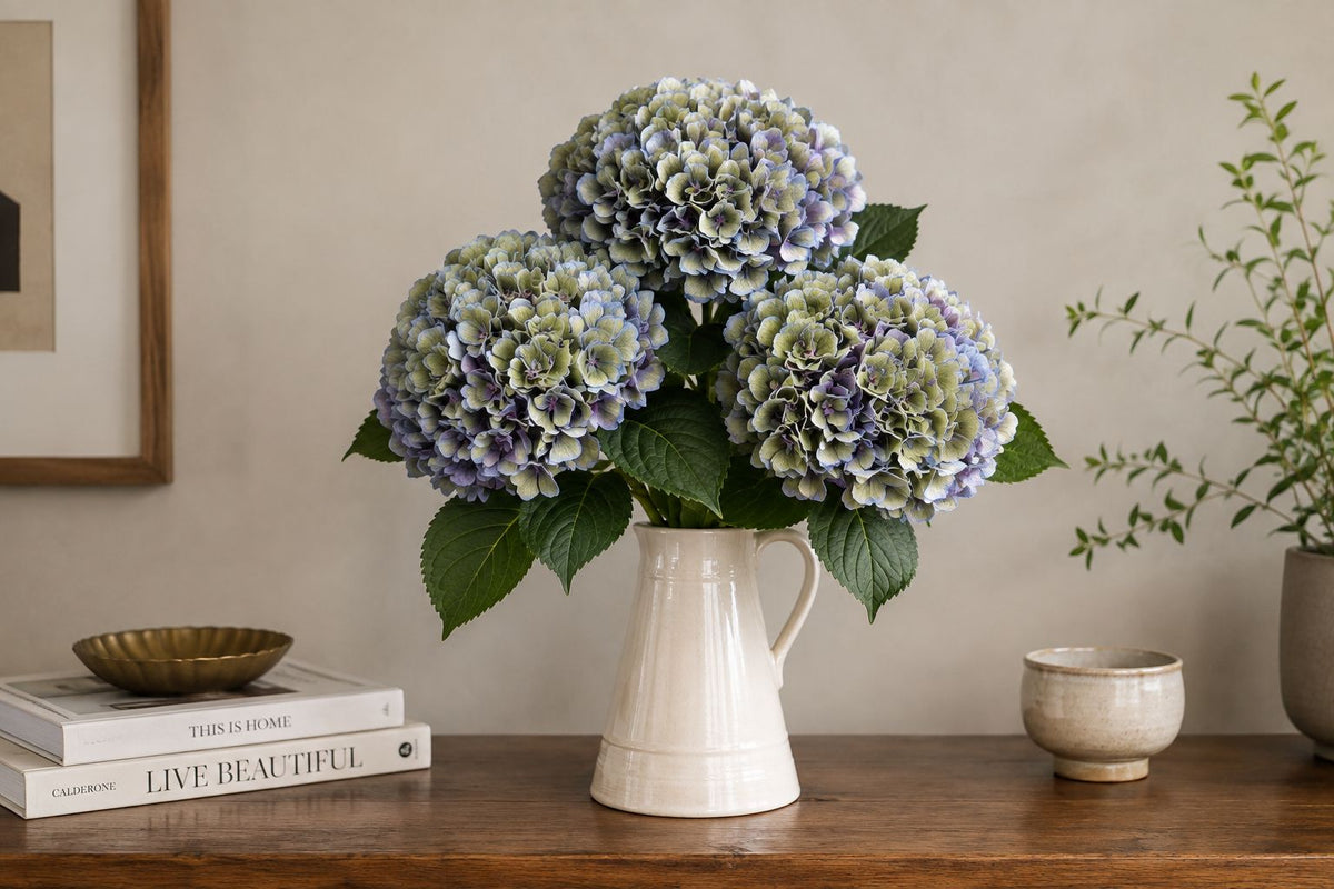 Hydrangea (Mermaid)