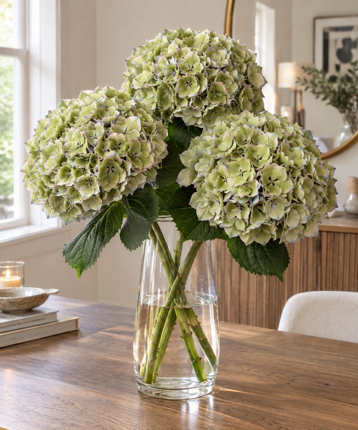 Hydrangea (Green with purple edge)