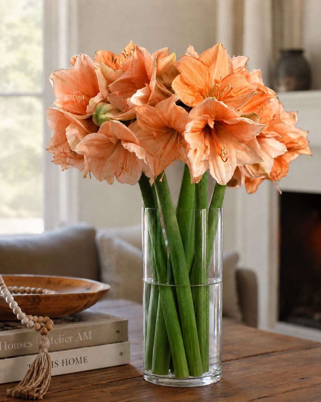 Amaryllis (Orange)