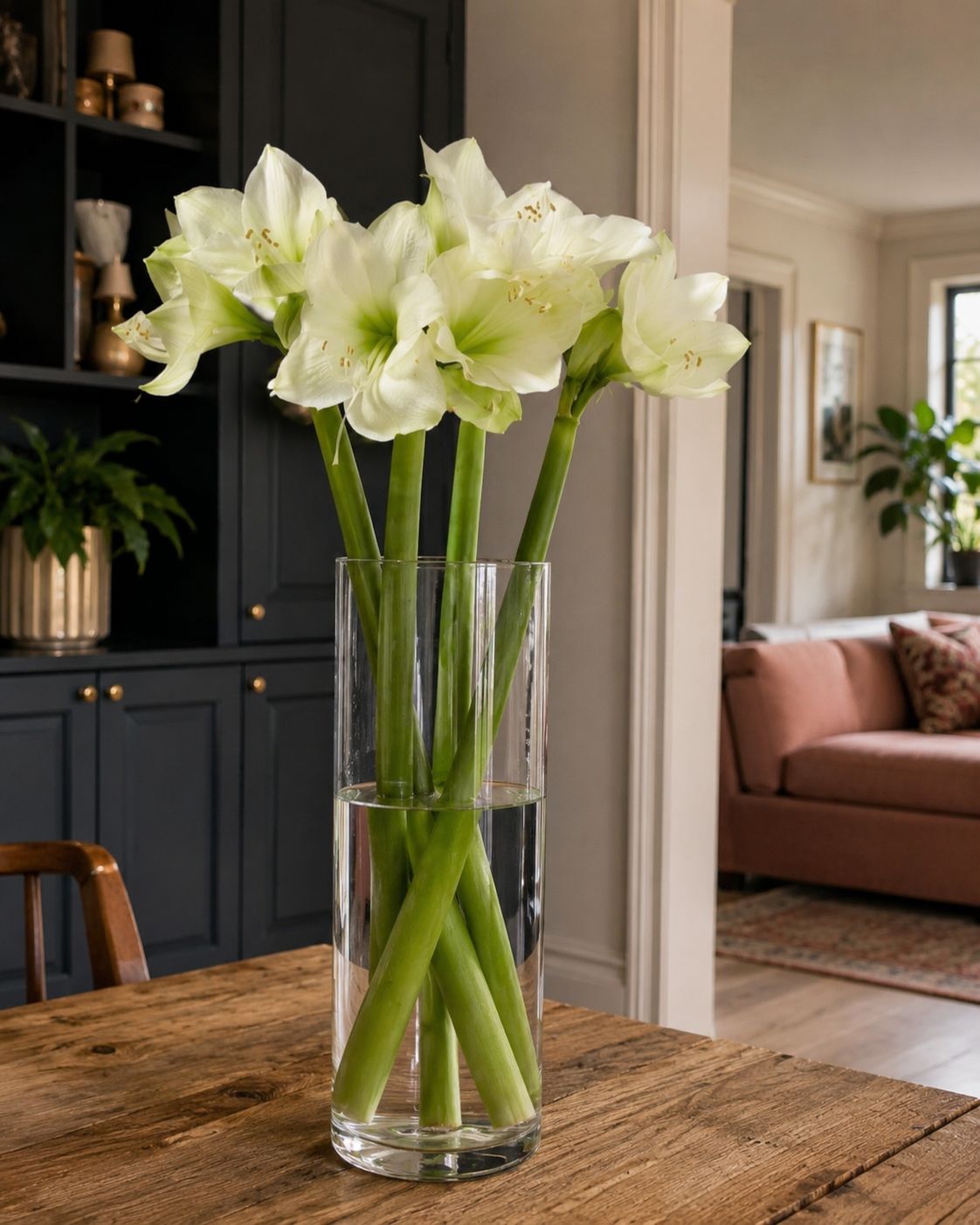 Amaryllis (White)