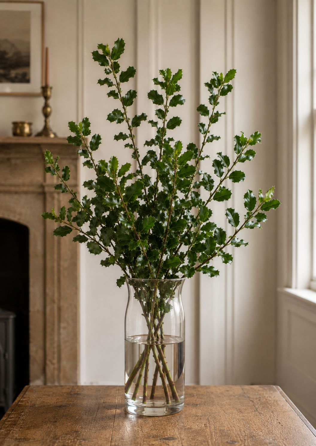 Soft ilex Holly
