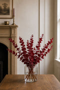 Eucalyptus (Red)