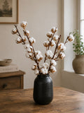 Cotton Stems