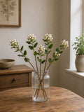 Hypericum Berry (White)