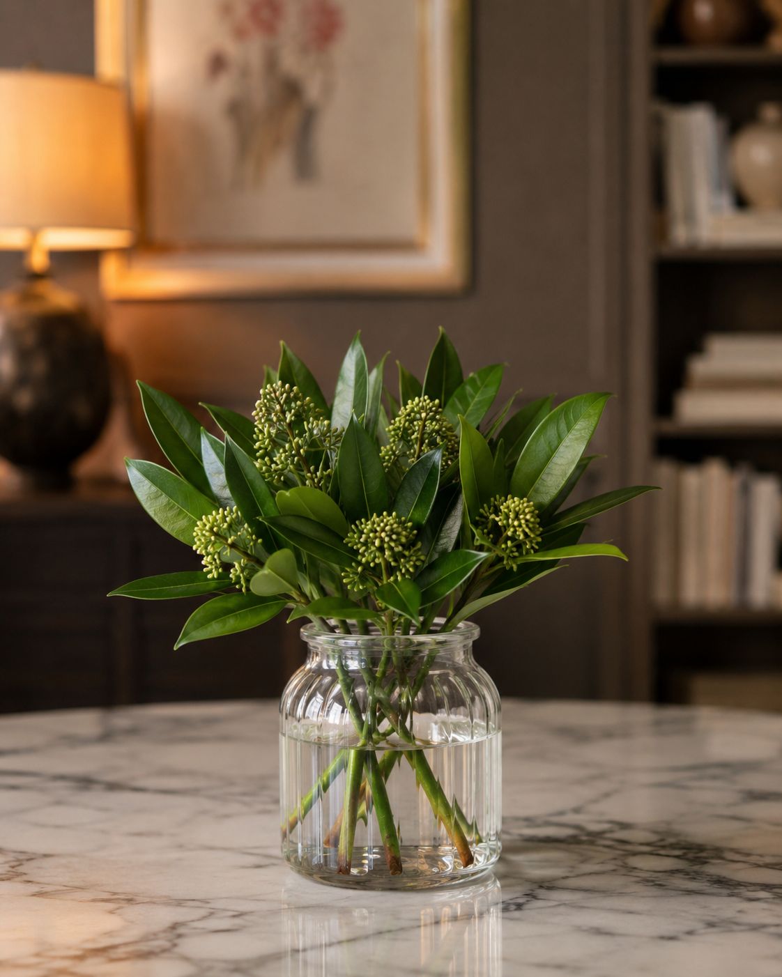 Skimmia (Green)